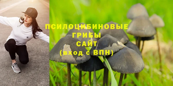 крисы Волоколамск